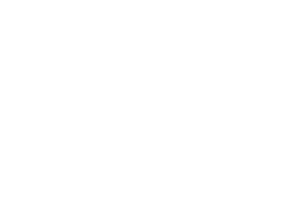 wordpress wordpress